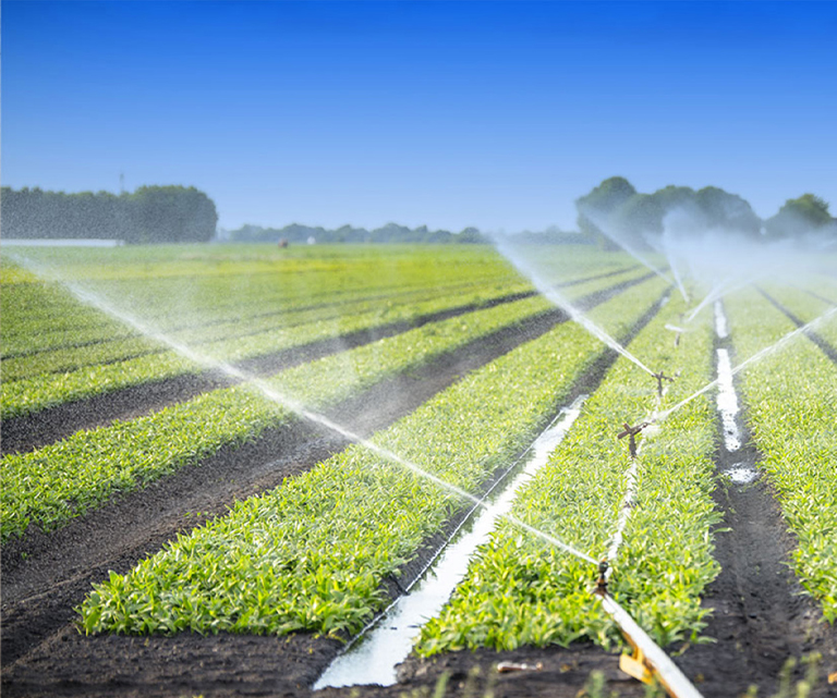 Ignis agriculturae Praesidium