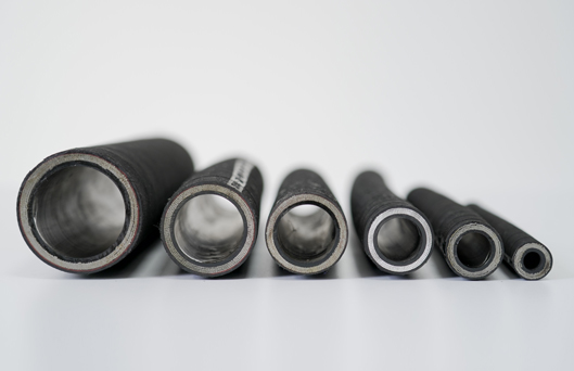 Saccharum officinarum Purgamentum