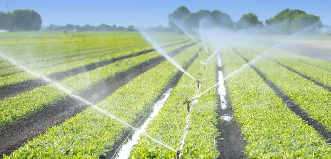 Taizhou Jun'an Ignis Technologia Co., Ltd.