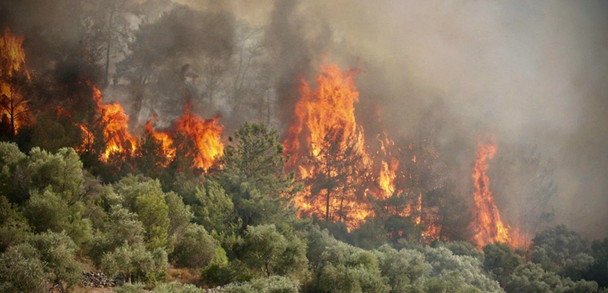 Taizhou Jun'an Ignis Technologia Co., Ltd.